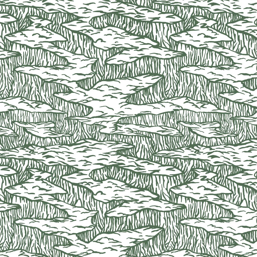 USA - Canyon Echo Forest