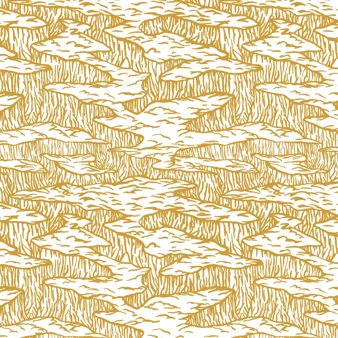 USA - Canyon Echo Ochre