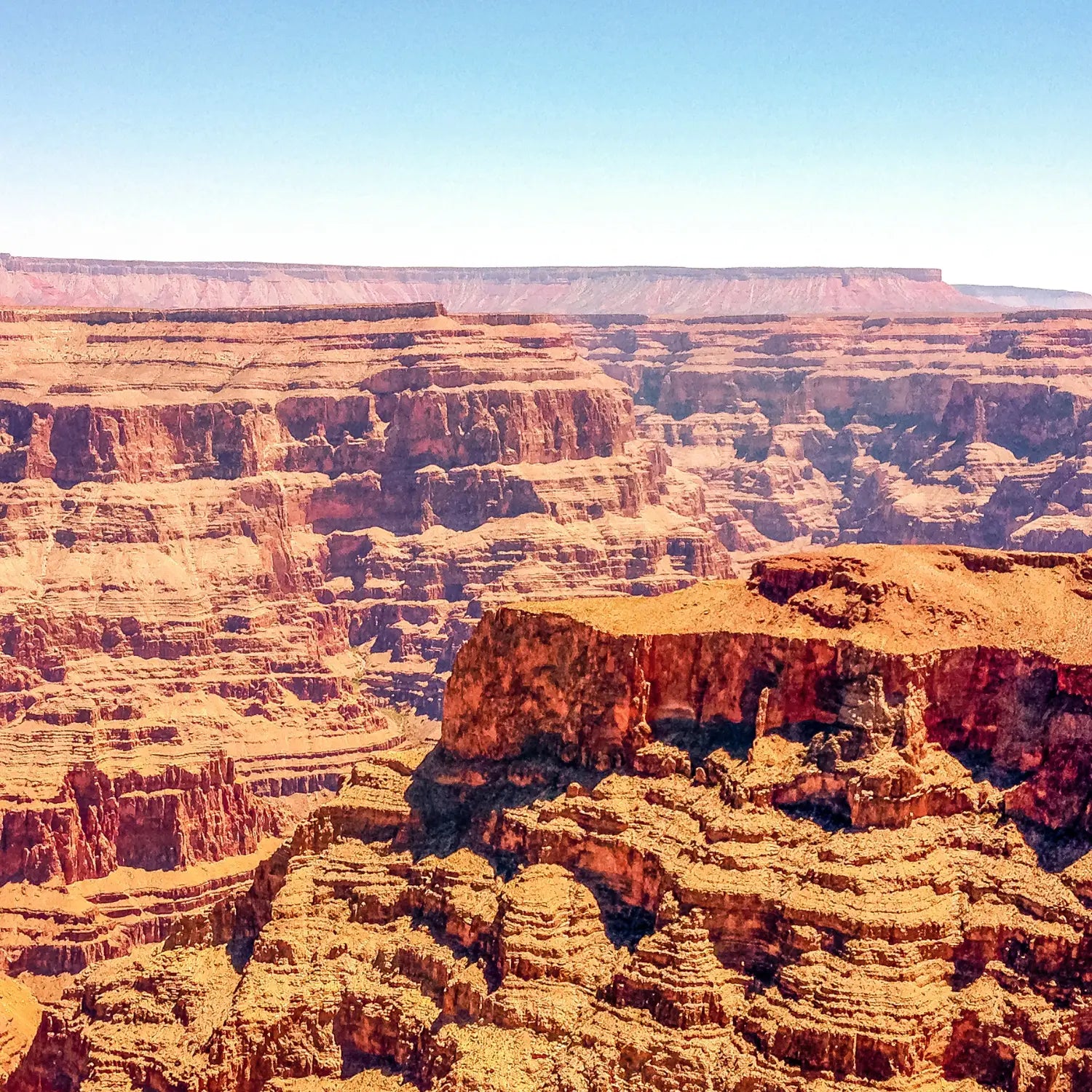 USA - Canyon Echo Forest