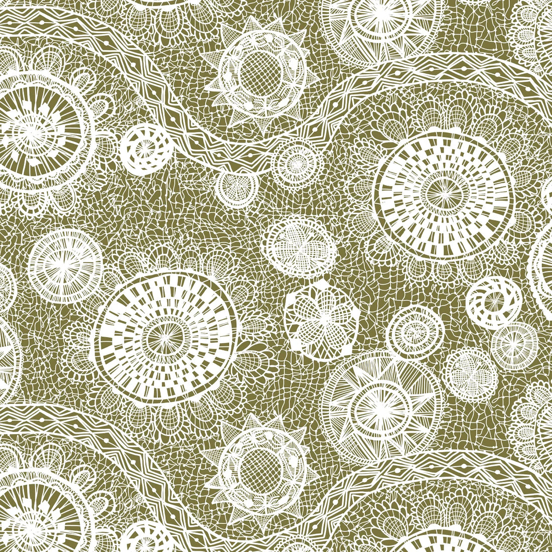 BRAZIL - Web of Life Olive