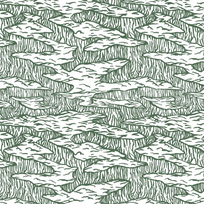 USA - Canyon Echo Forest