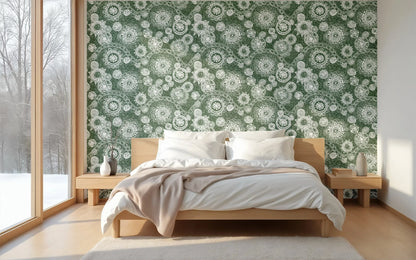 BRAZIL - Web of Life Forest