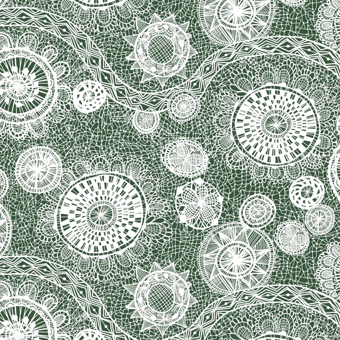 BRAZIL - Web of Life Forest