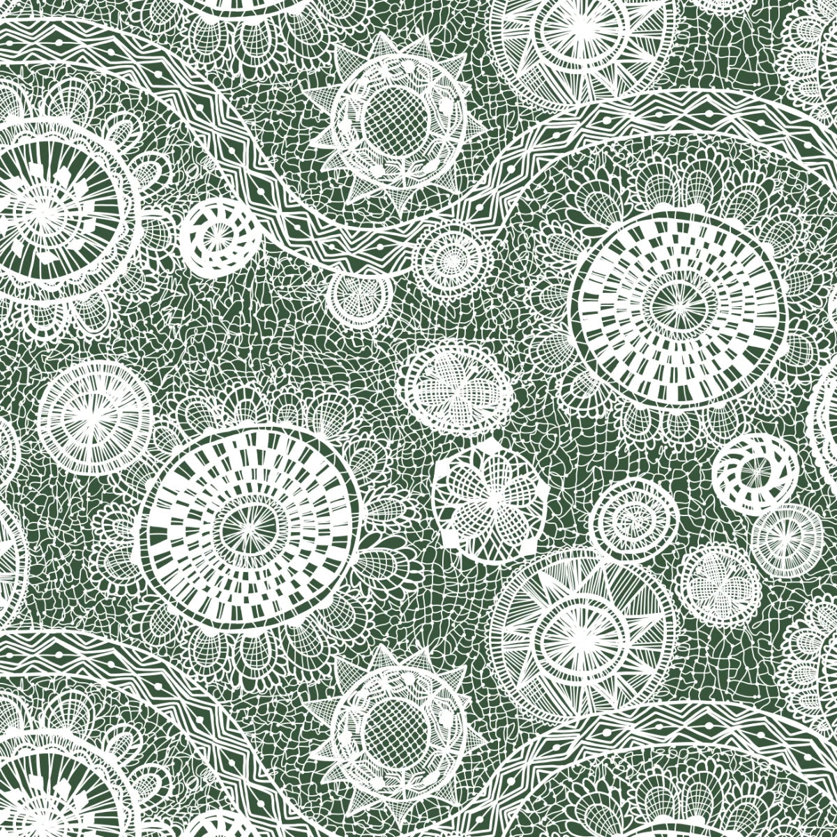 BRAZIL - Web of Life Forest