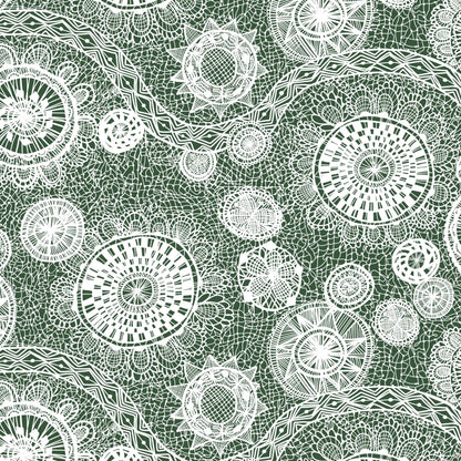 BRAZIL - Web of Life Forest