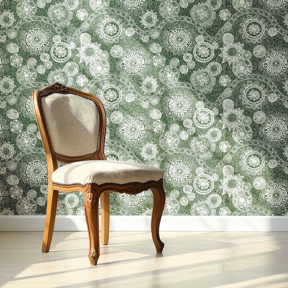 BRAZIL - Web of Life Forest